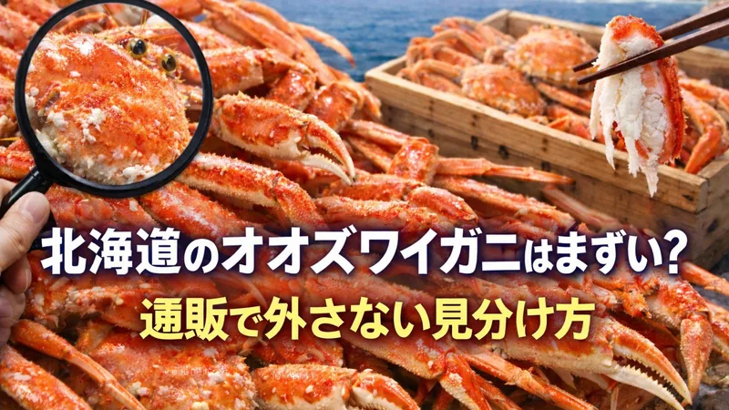 北海道のオオズワイガニはまずい？通販で外さない見分け方