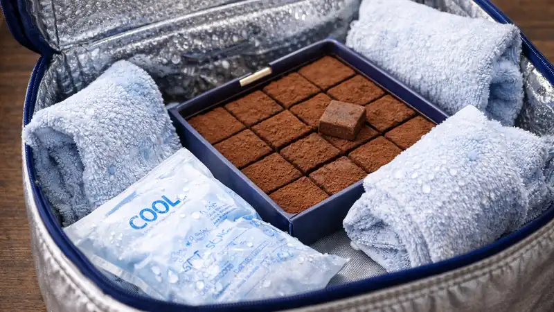 05_H2_保冷剤の正しい使い方