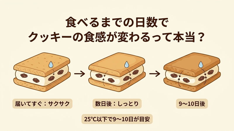 食べるまでの日数でクッキーの食感が変わるって本当？